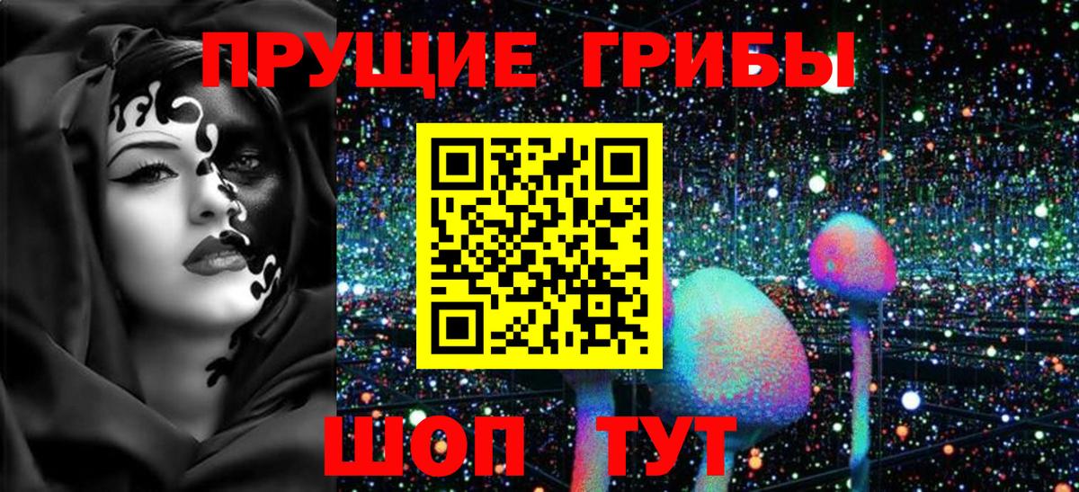 Псилоцибиновые грибы MAGIC MUSHROOMS Кизилюрт